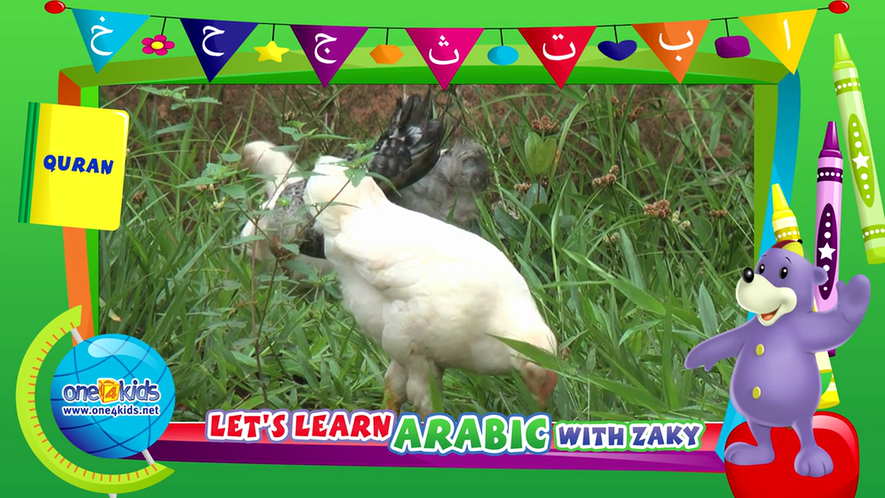Arabic Animals