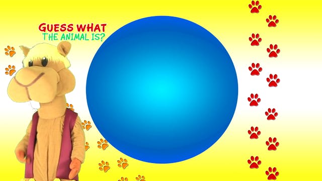 Guess game LIVE test
