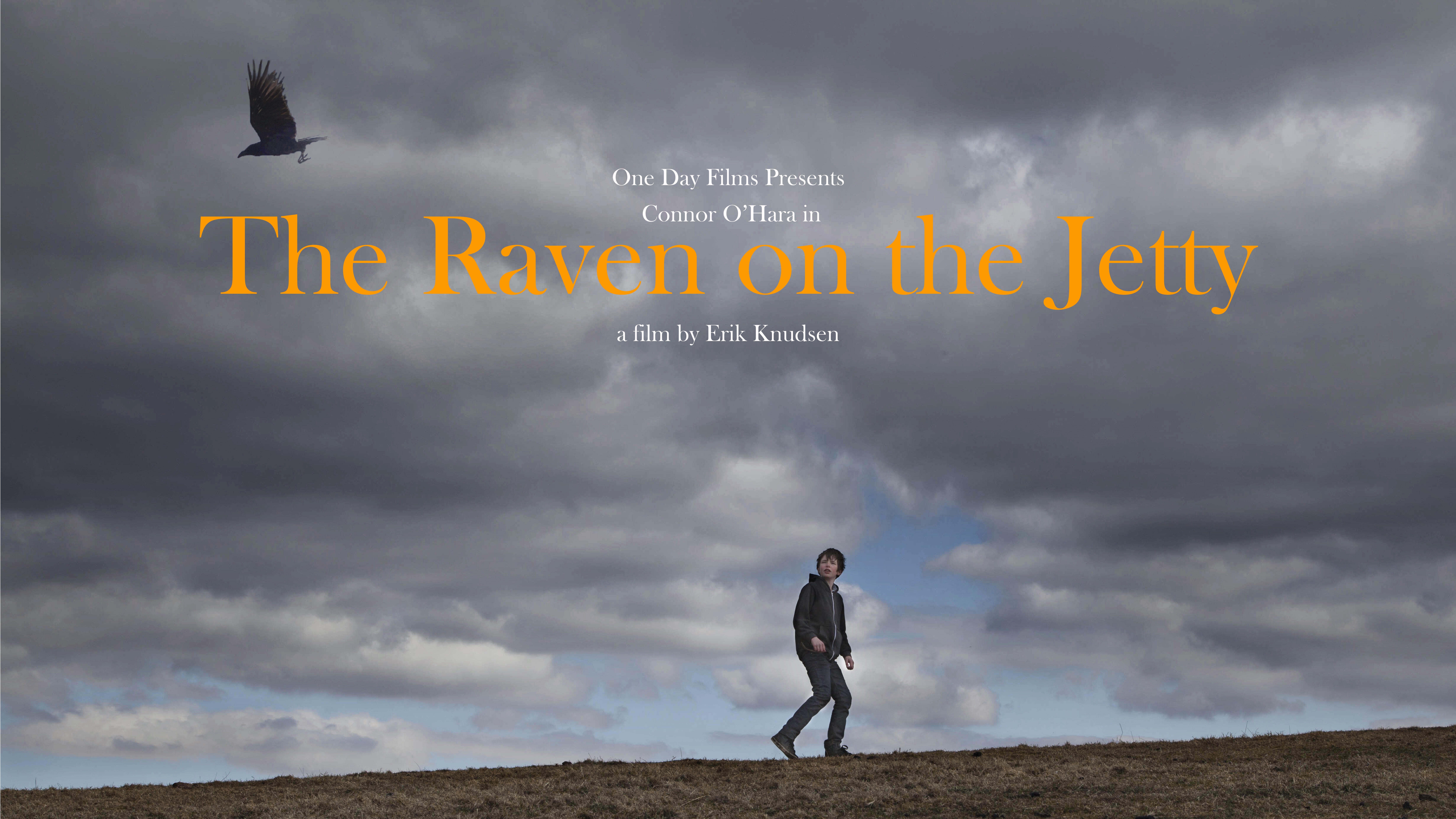The Raven On The Jetty