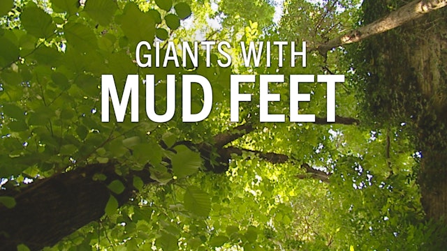 Giants with Mud Feet
