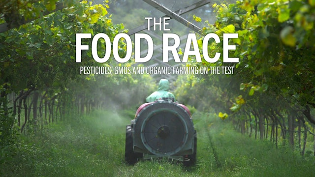 The Food Race