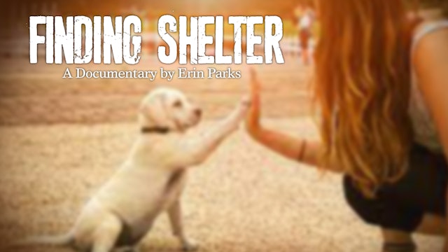 Finding Shelter Documentary