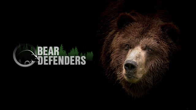Favorite Documentaries for Bear Defenders