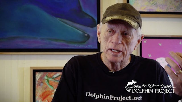 Interview with Rick O' Barry "Dolphin Project"