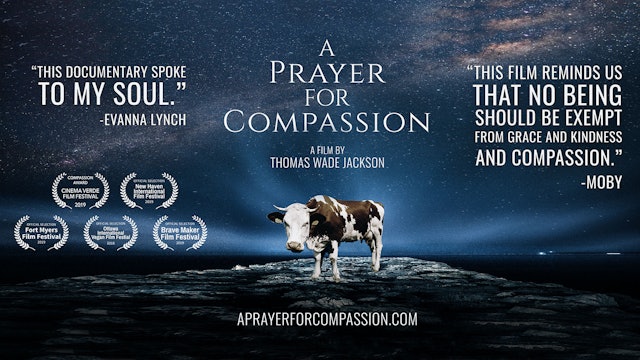 A Prayer For Compassion