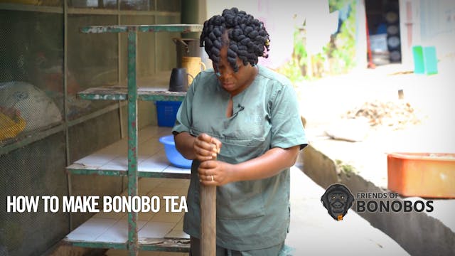 How to Make Bonobo Tea