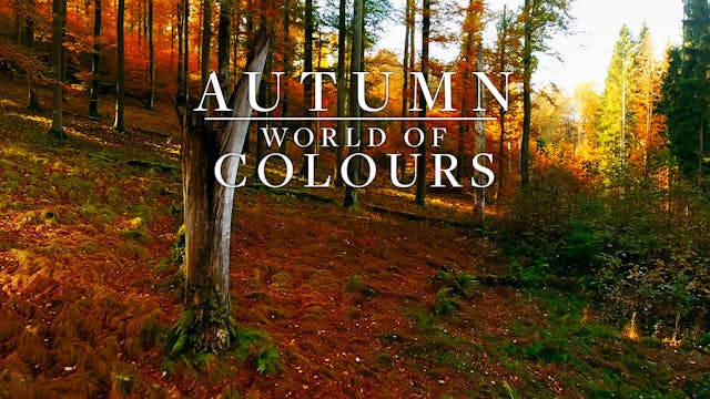 Autumn: World of Colours