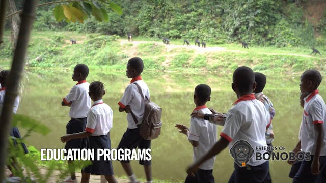 Education Programs at Lola ya Bonobo ...
