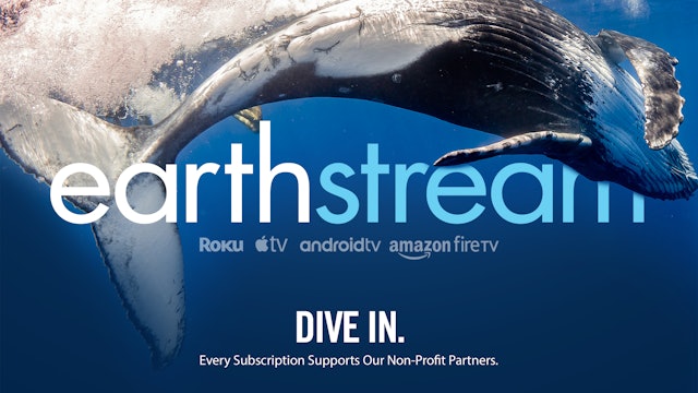 Featured on EarthStream