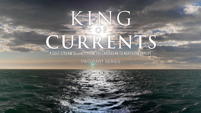 King of Currents