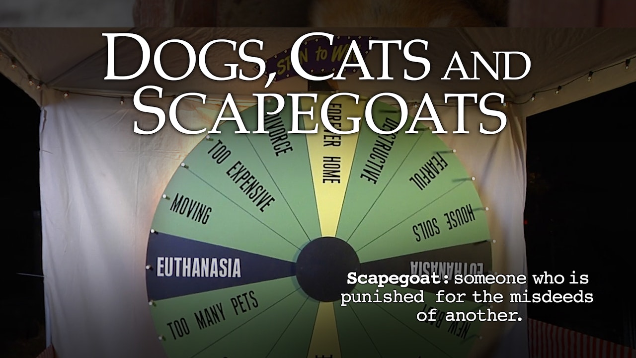 Dogs, Cats & Scapegoats