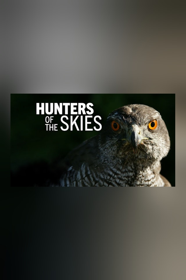 Hunters of The Skies