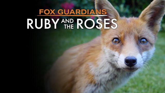Ruby and the Roses