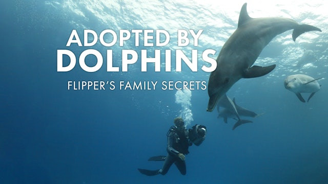 Adopted by Dolphins