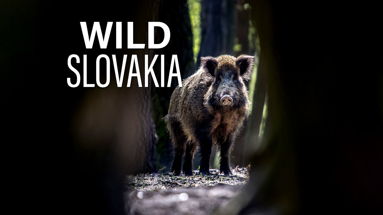 Wild Slovakia
