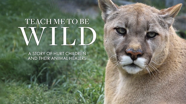 Teach Me to be Wild: A story of hurt children and their animal healers