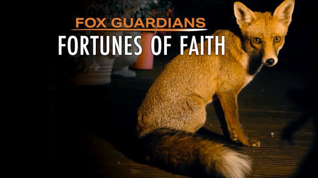 Fortunes of Faith