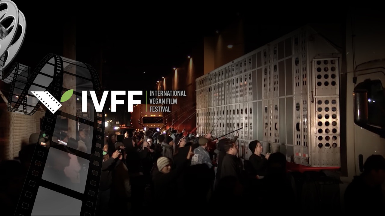The International Vegan Film Festival