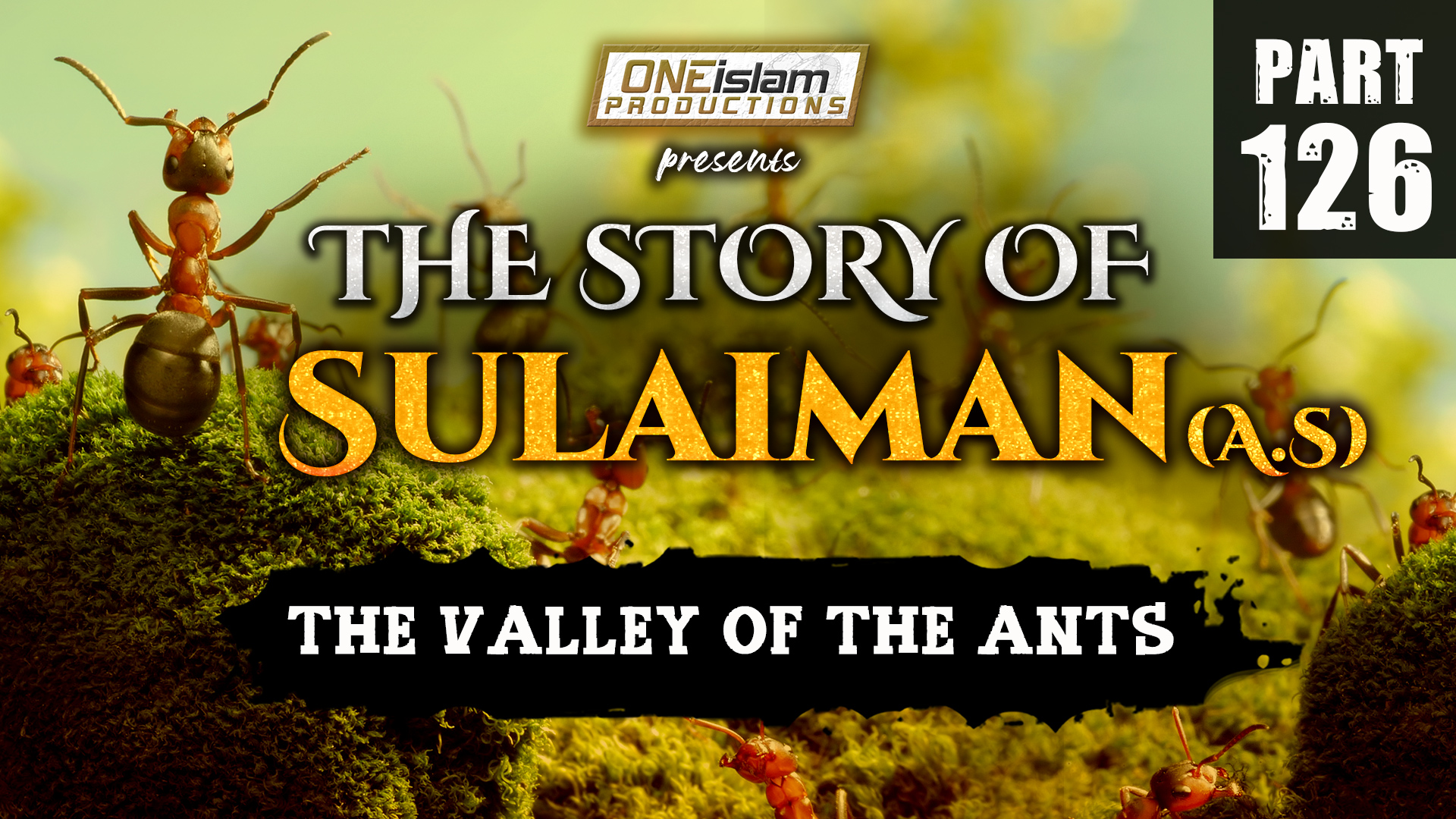 The Valley Of The Ants | The Story Of Sulaiman | PART 126