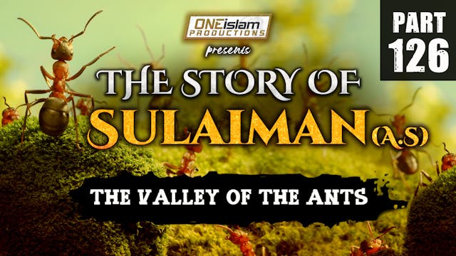 The Valley Of The Ants | The Story Of...