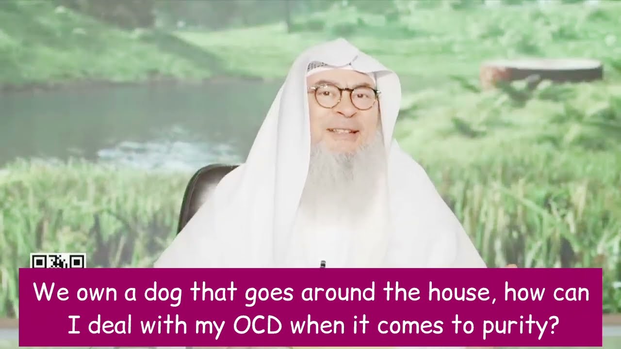 We own a dog that goes around the house, how to deal with OCD waswas of purity?