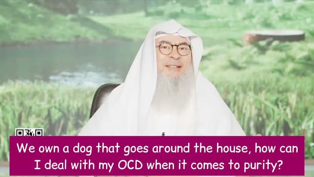 We own a dog that goes around the hou...