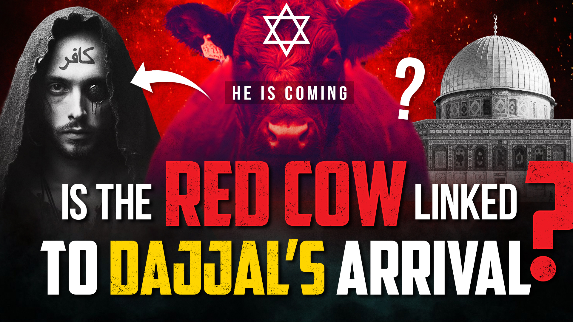 IS THE RED COW LINKED TO DAJJAL'S ARRIVAL?