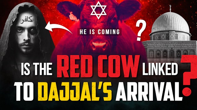 IS THE RED COW LINKED TO DAJJAL'S ARRIVAL?