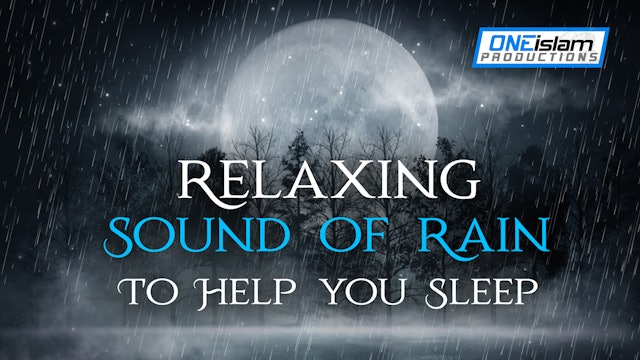 Relaxing Sounds Of Rain To Help You Sleep