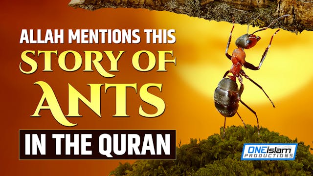 ALLAH MENTIONS THIS STORY OF ANTS IN ...