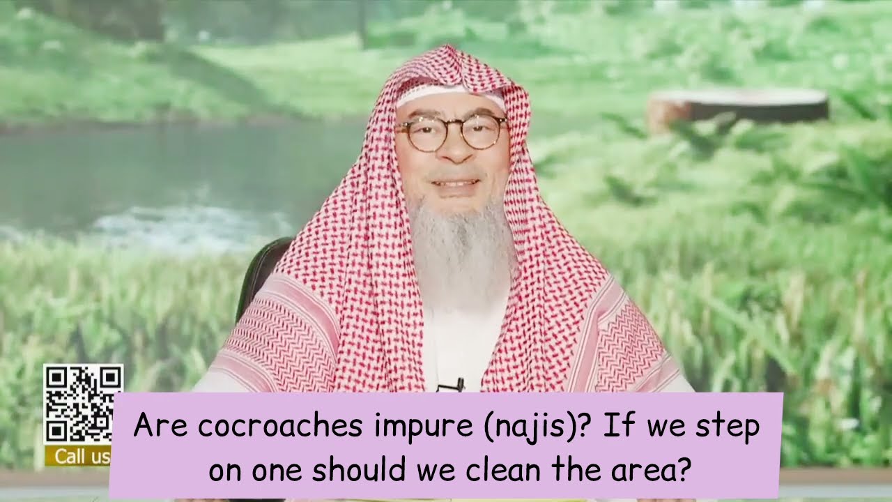 Are Cockroaches Impure (Najis) - If We Step On them Should We Clean The Area?