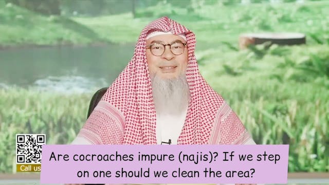 Are Cockroaches Impure (Najis) - If W...