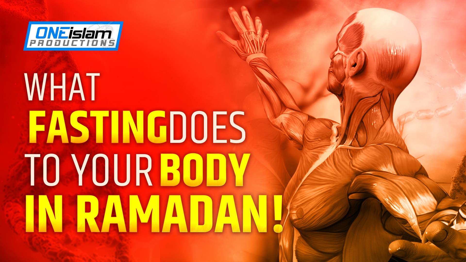 WHAT FASTING DOES TO YOUR BODY IN RAMADAN!