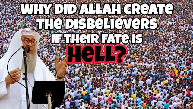 Why did Allah create the disbelievers...