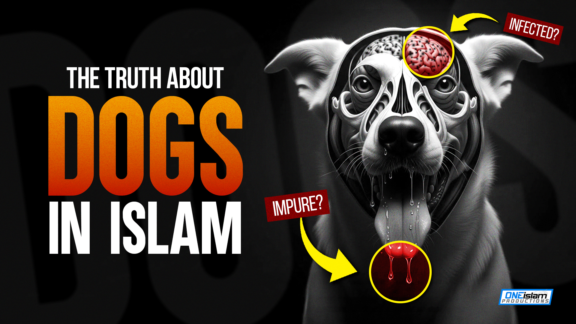 Are Dogs Haram? 🐕😱