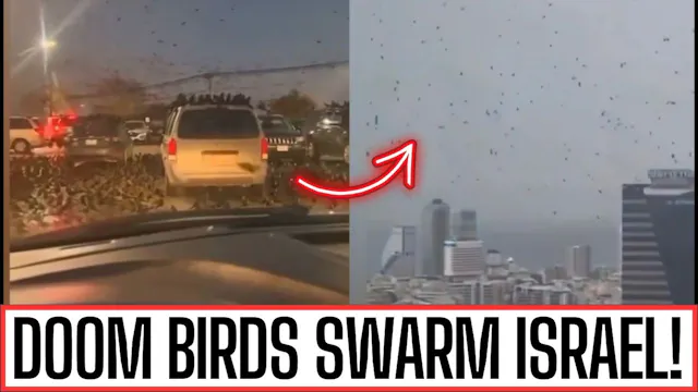 Is God Warning Israel? Crows Flood Sk...