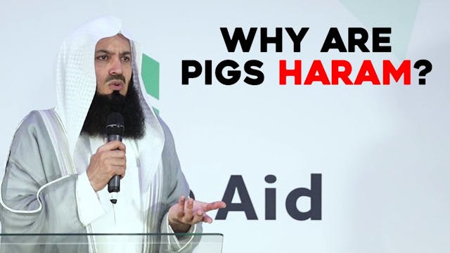 Why are pigs haram - Mufti Menk