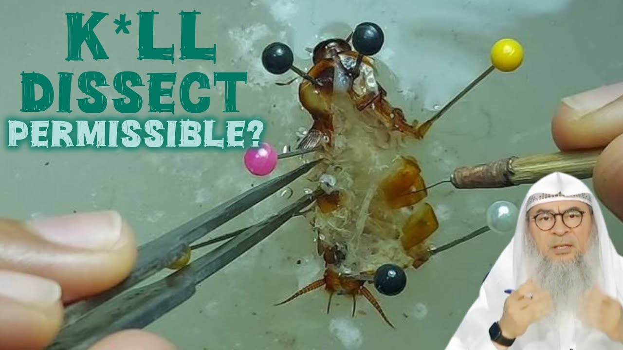 We need to capture, kll & dissect insects for school project is this permissible