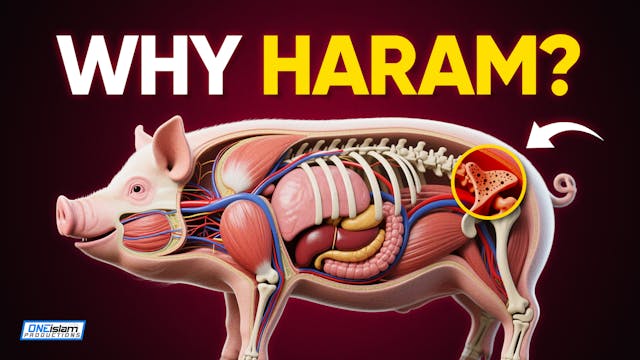 Why Pork is forbidden in Islam
