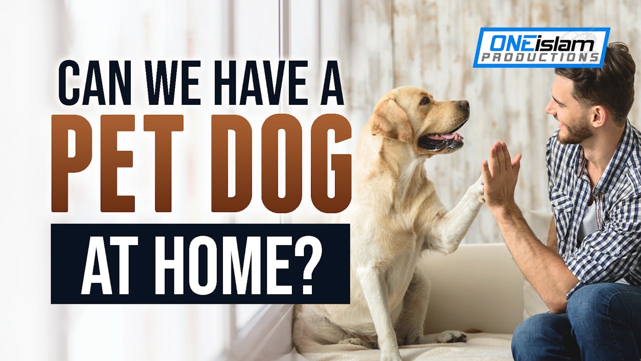 Can We Have A Pet Dog At Home? Haram & Halal One Islam TV