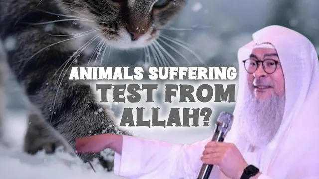 I Feel Sad Seeing Animals Suffer Whet...