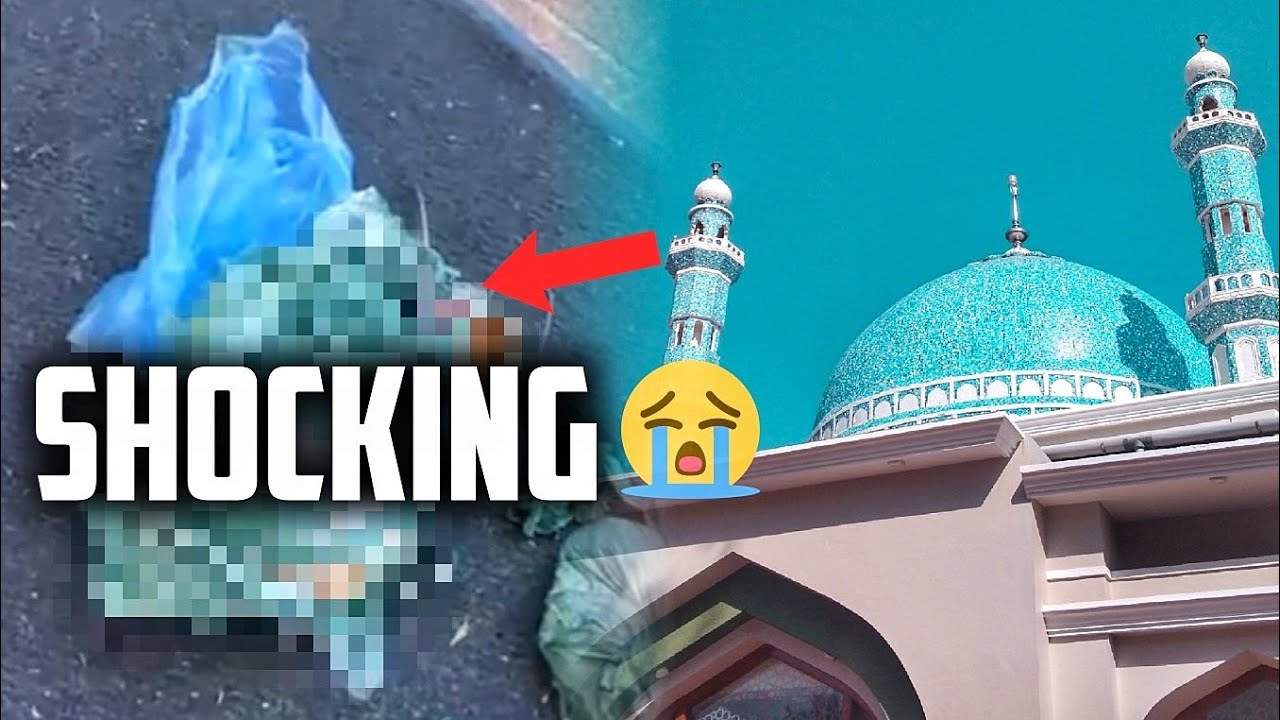 SHE DROPPED GREEN PIG'S HEAD OUTSIDE MOSQUE