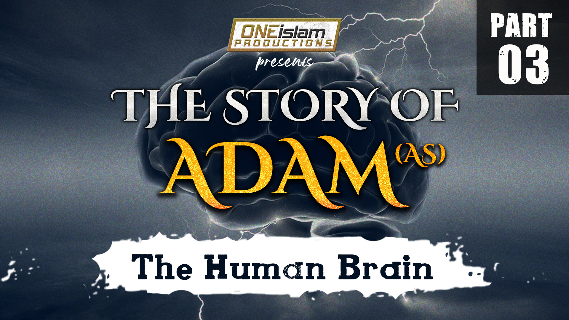 The Human Brain | PART 3