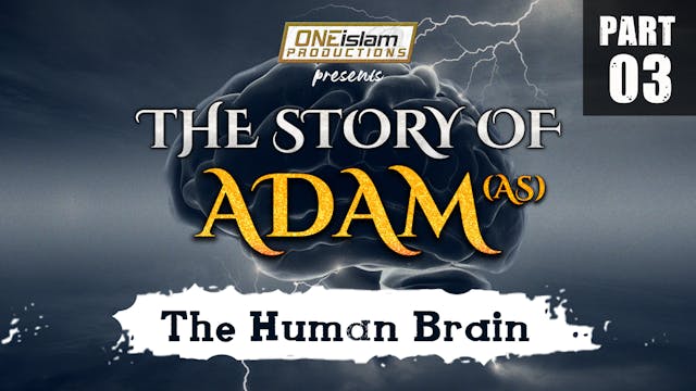 The Human Brain | The Story Of Adam |...