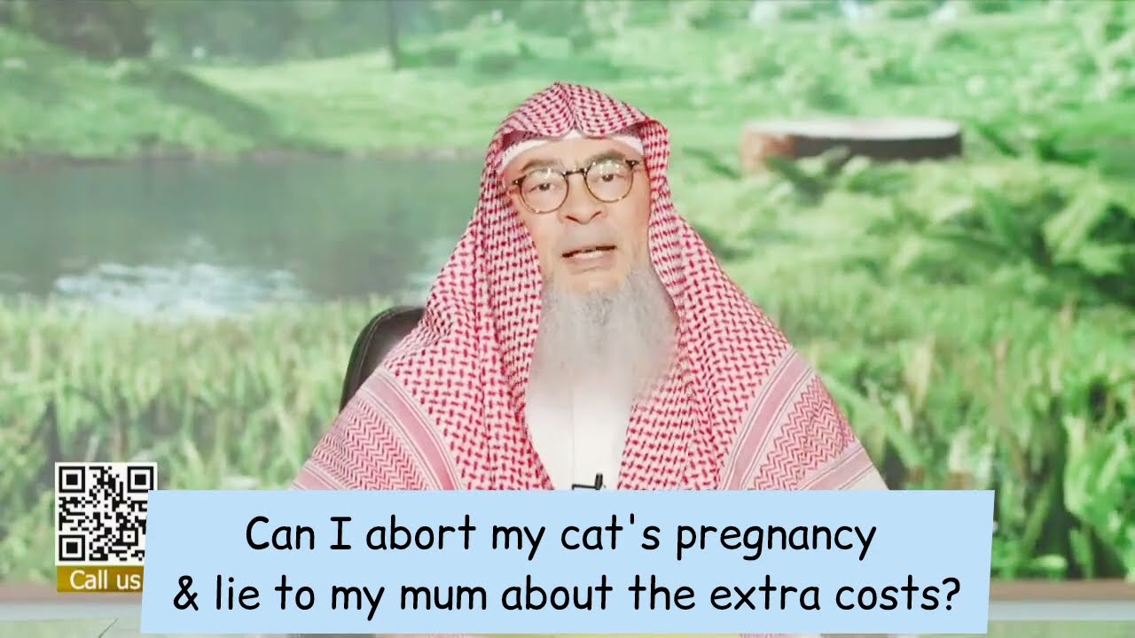 Can I Abort My Cat's Pregnancy & Lie To My Mum About The Extra Costs?