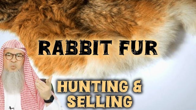 Can I  hunt & sell Rabbit Fur - Islam...