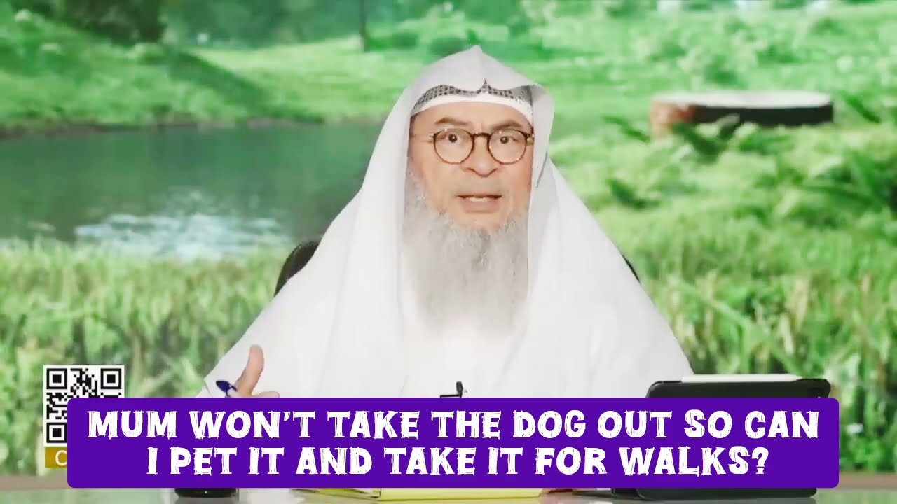 My Mum Has A Dog She Won't Take It Out Can I Feed It & Take It For Walks?