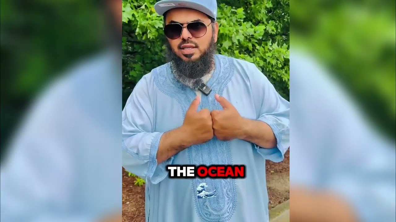 Are Turtles Or Tortoises Halal To Eat  