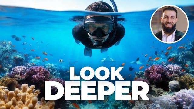 The All-Knowing, The All-Wise Knows W...