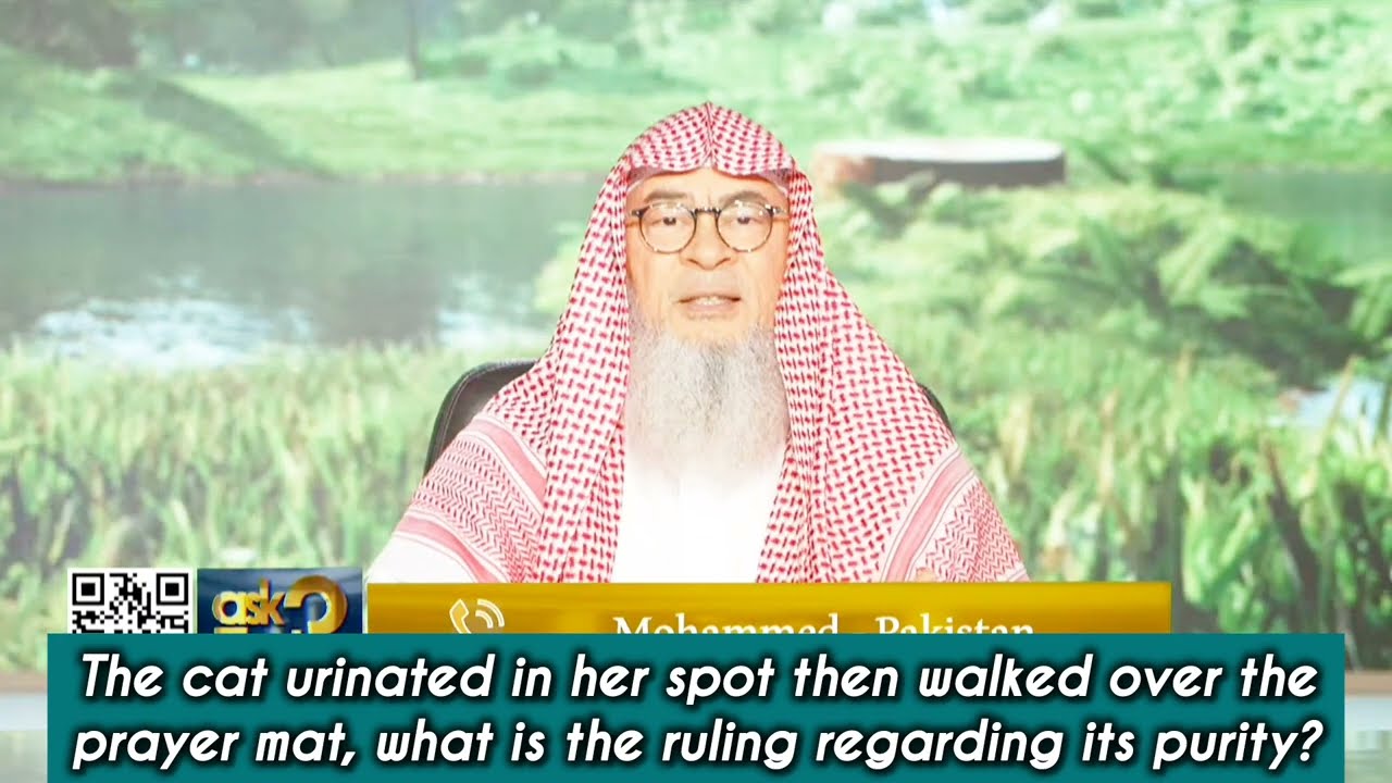 Cat Urinated In Her Spot Then Walked Over Prayer Mat, Is Prayer Mat Impure?